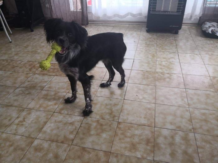 Luca