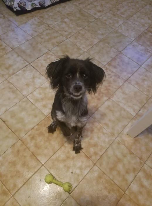 Luca